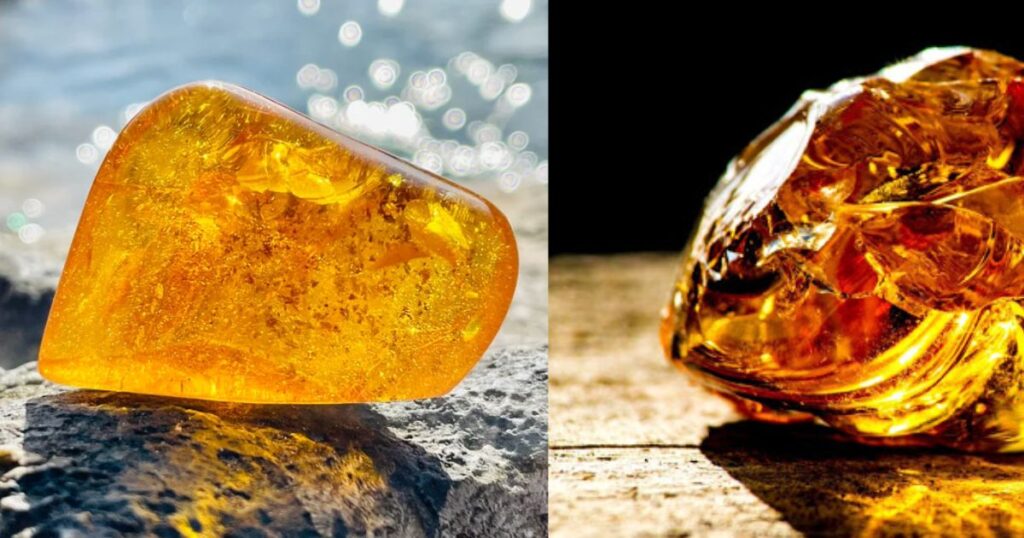 ¿Es el Ámbar de Chiapas Mejor que el Ámbar Báltico? Comparativa de Propiedades y Valor